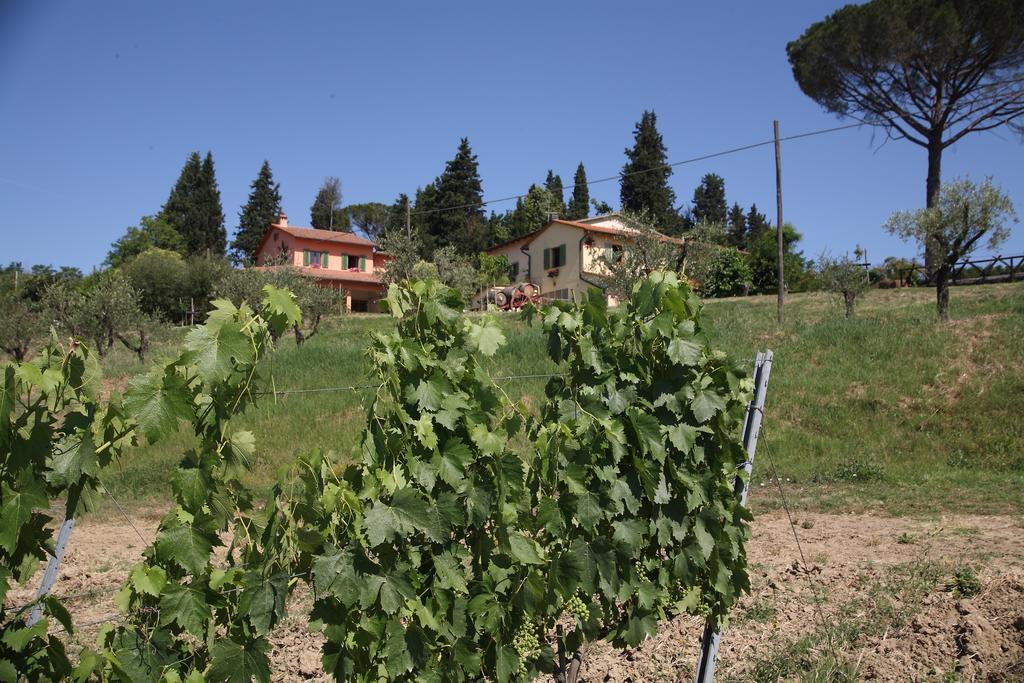 Agriturismo Podere Poggio Ai Cieli San Gimignano Eksteriør billede